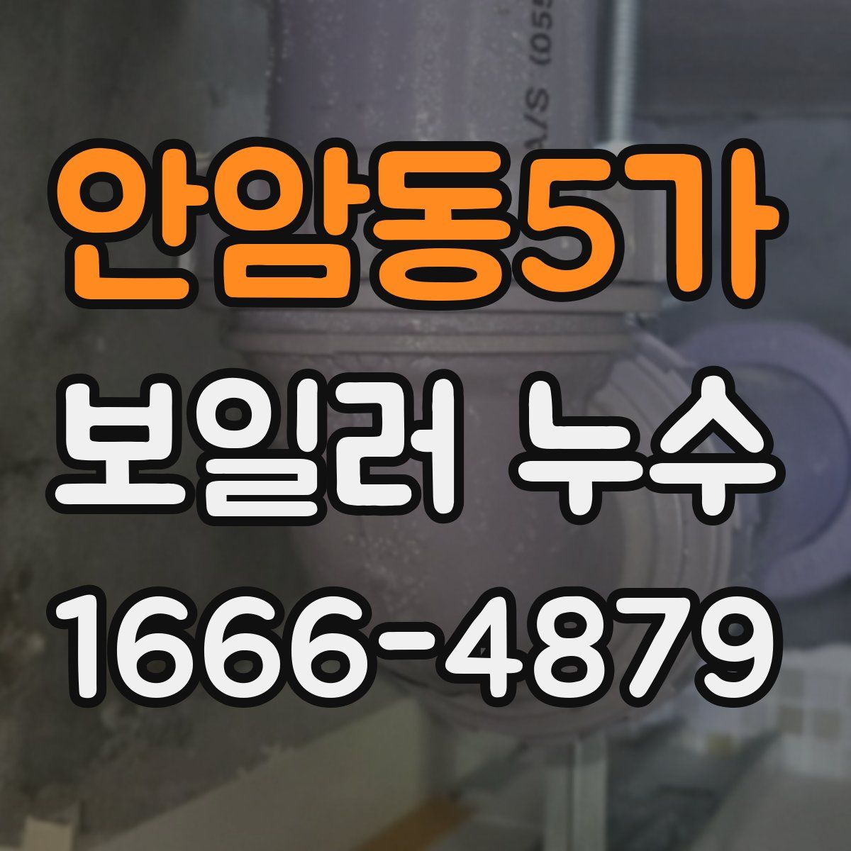 안암동5가 보일러 누수