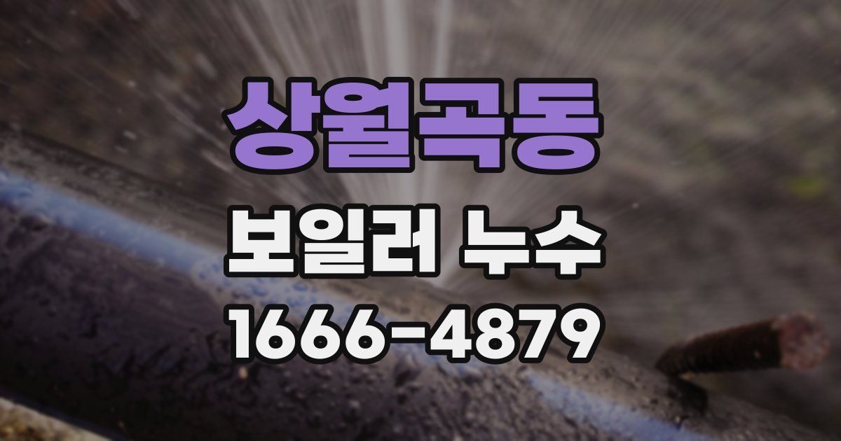 상월곡동 보일러 누수