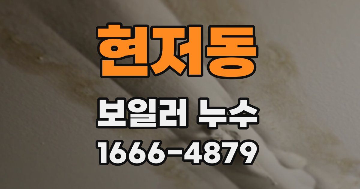 현저동 보일러 누수