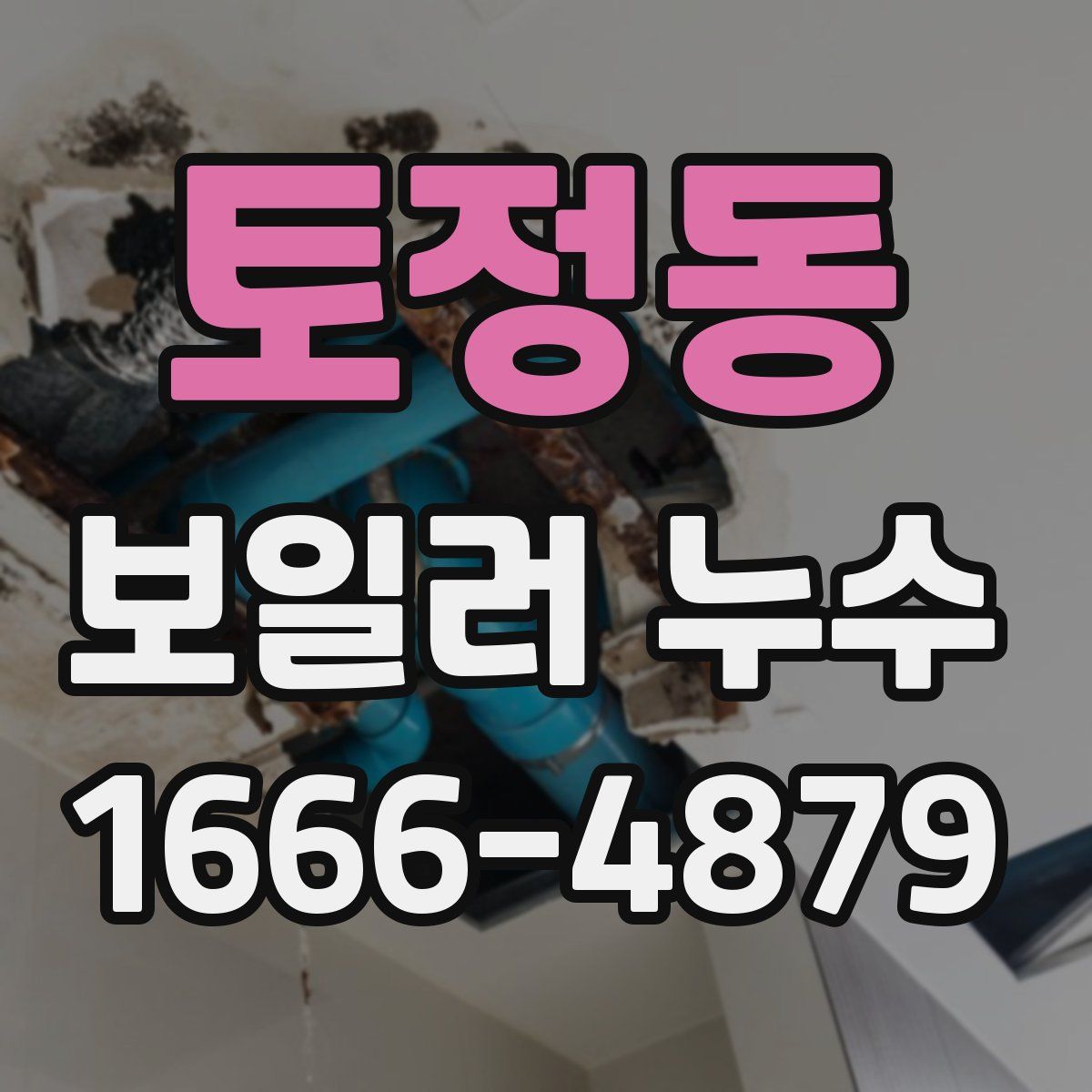 토정동 보일러 누수