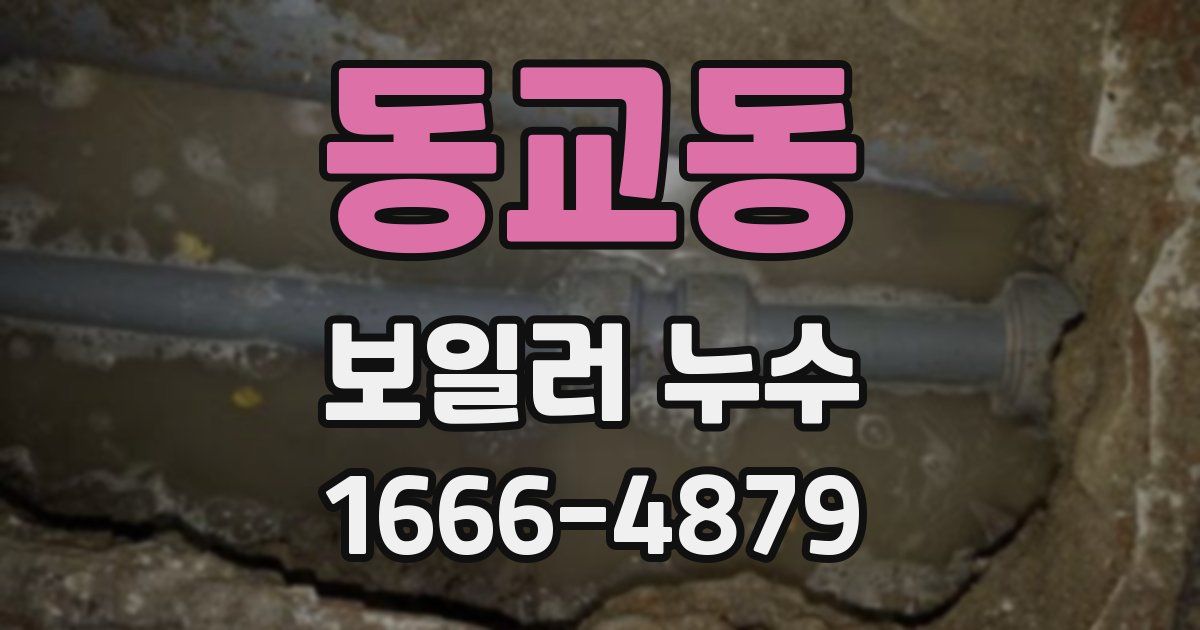 동교동 보일러 누수
