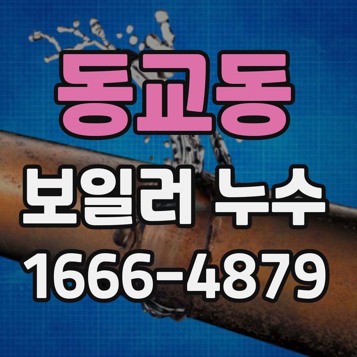 동교동 보일러 누수