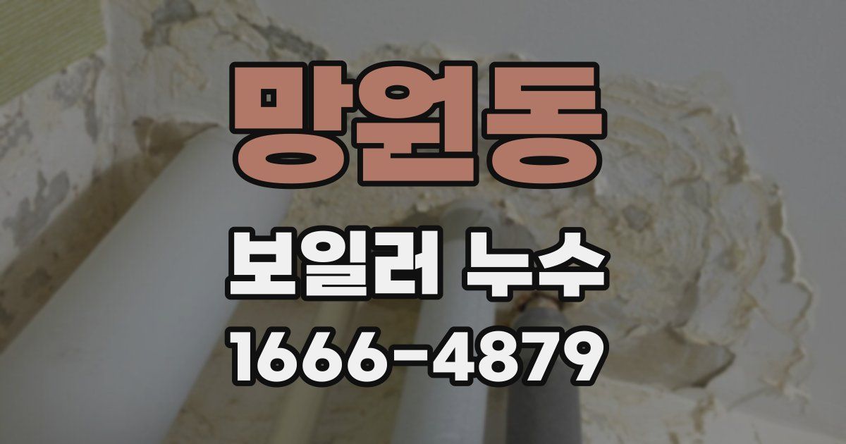 망원동 보일러 누수