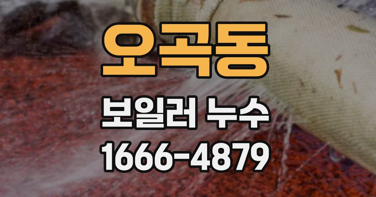 오곡동 보일러 누수