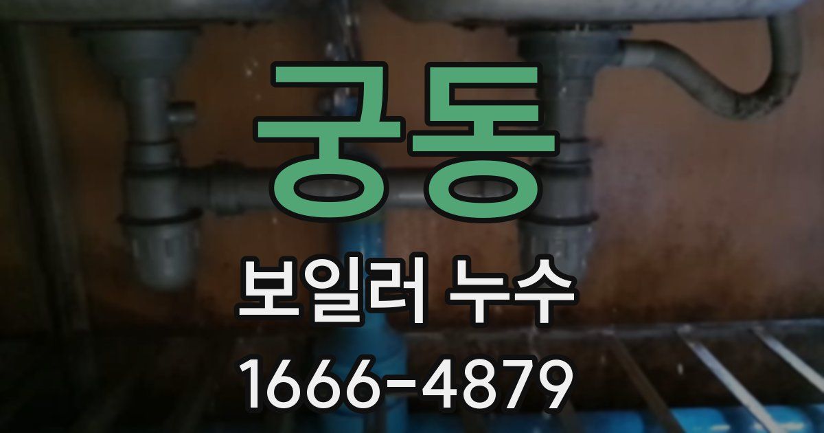 궁동 보일러 누수