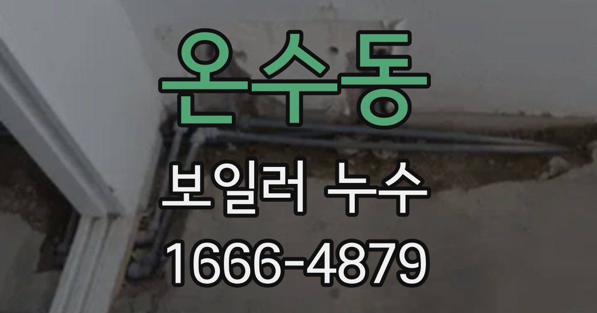 온수동 보일러 누수