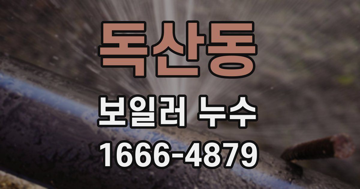 독산동 보일러 누수