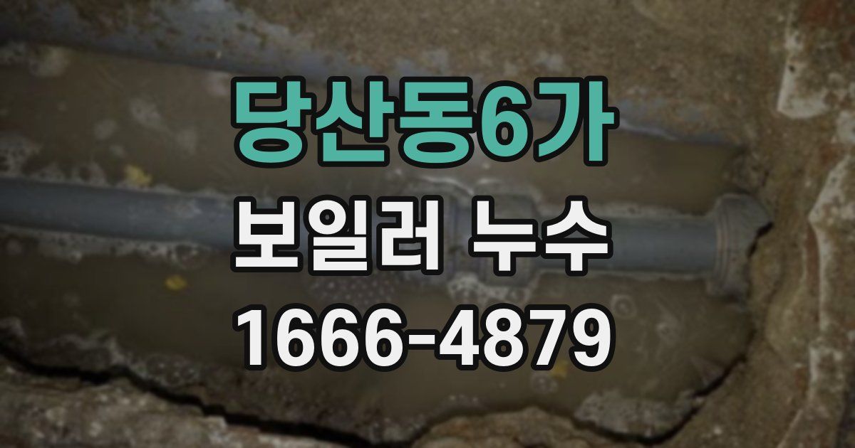 당산동6가 보일러 누수