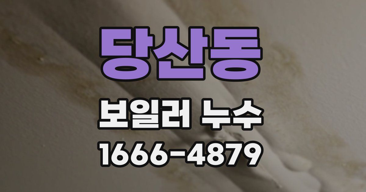 당산동 보일러 누수