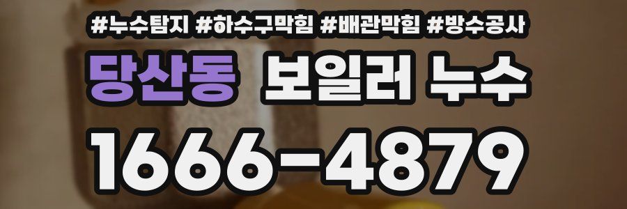 당산동 보일러 누수