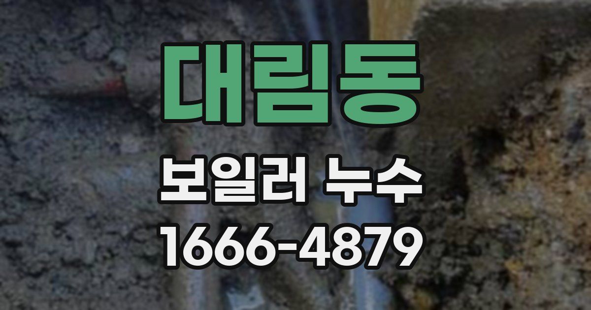 대림동 보일러 누수
