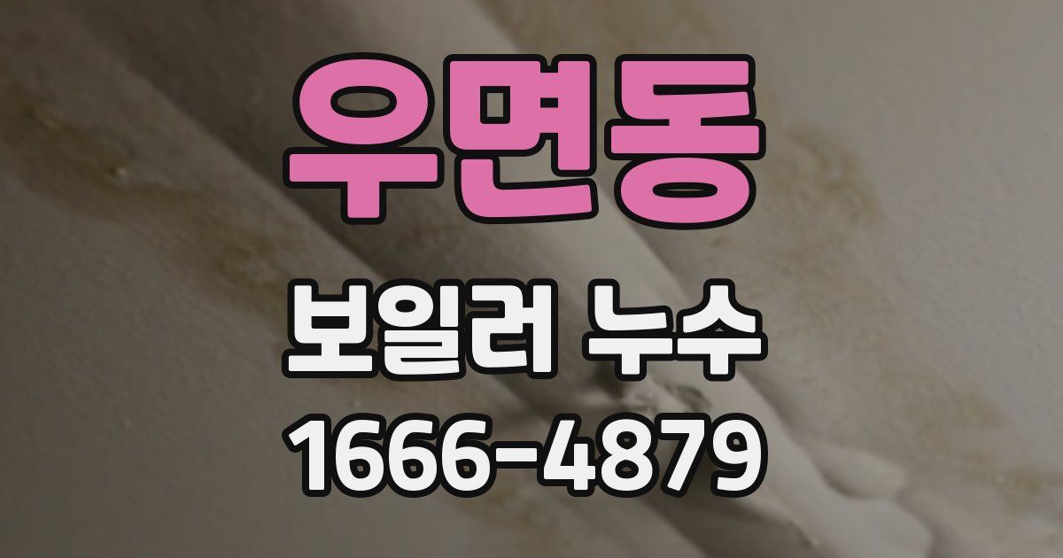 우면동 보일러 누수