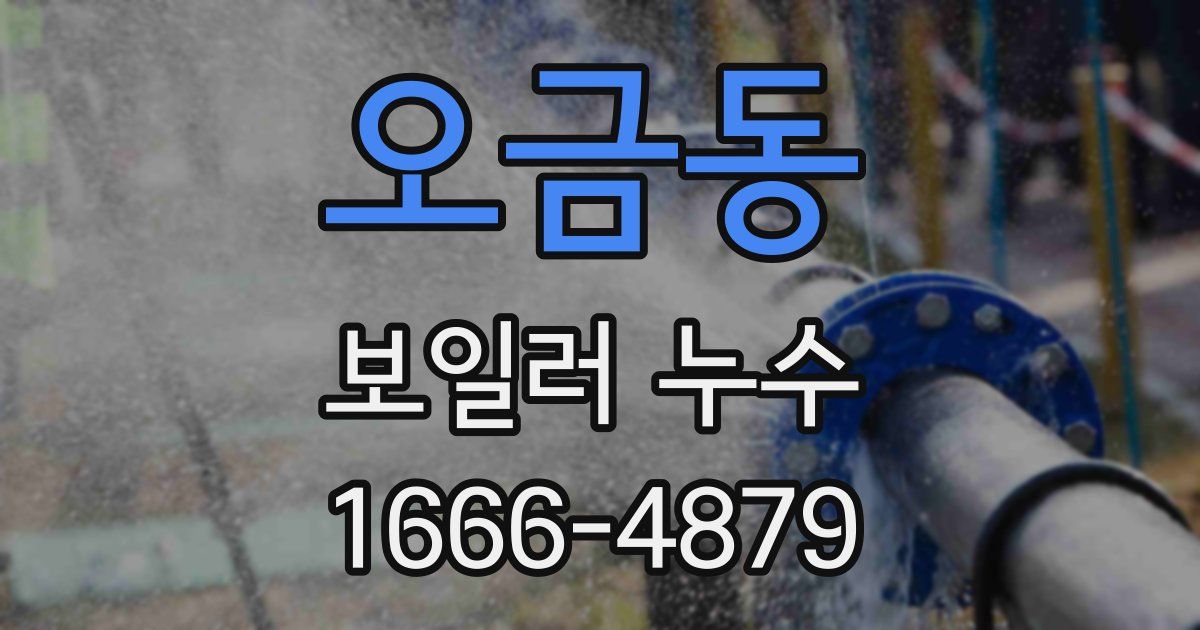 오금동 보일러 누수