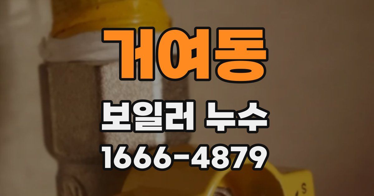 거여동 보일러 누수
