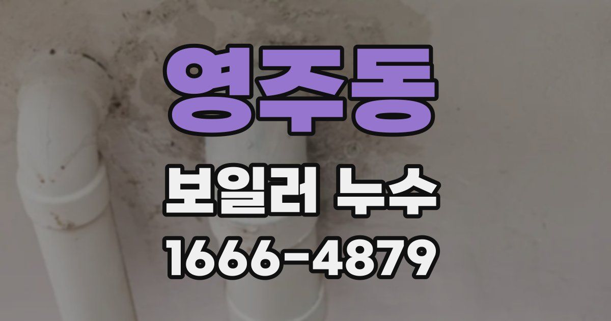 영주동 보일러 누수