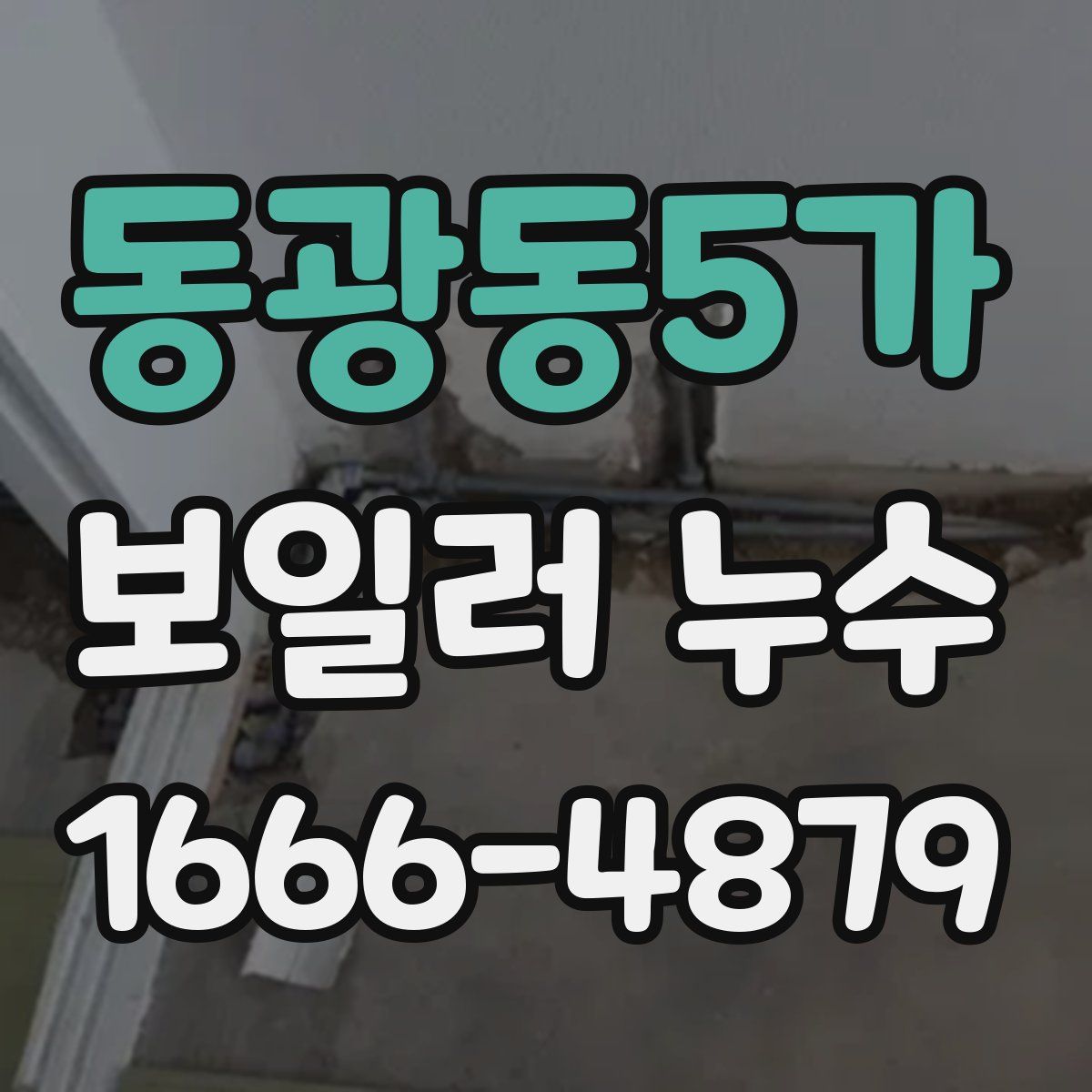 동광동5가 보일러 누수