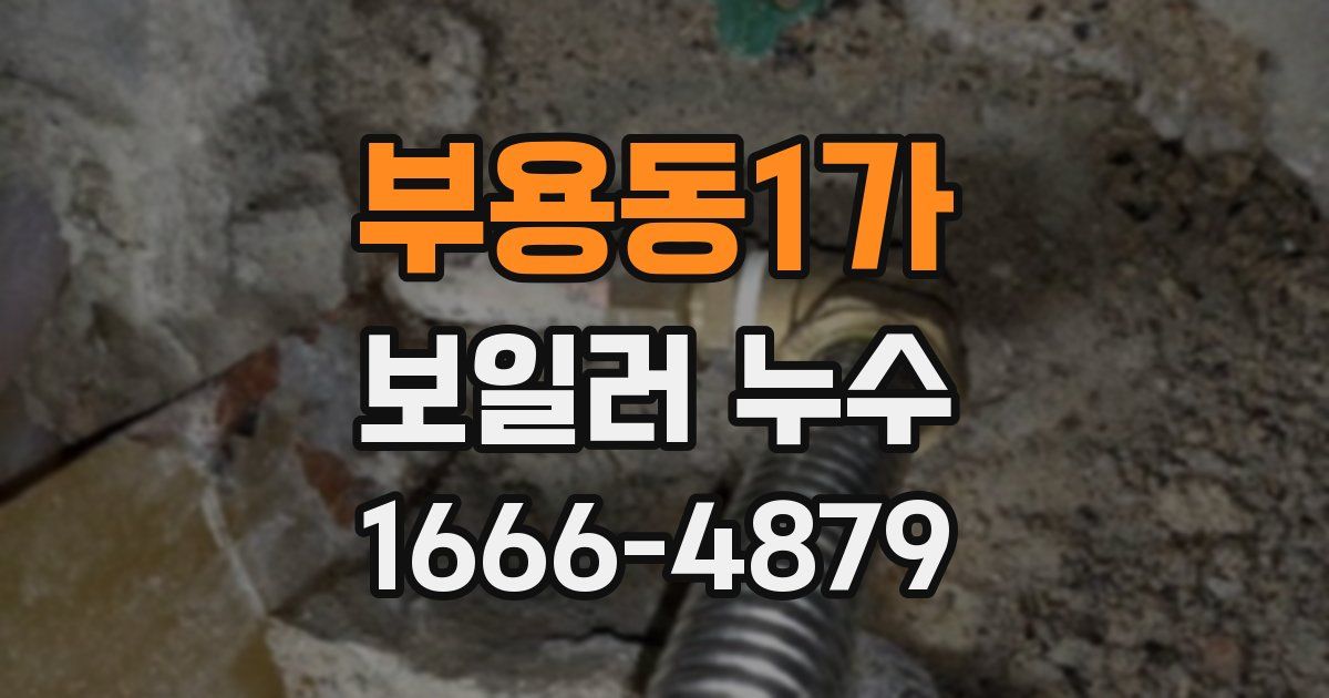 부용동1가 보일러 누수