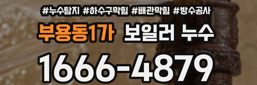 부용동1가 보일러 누수