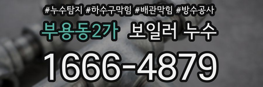 부용동2가 보일러 누수
