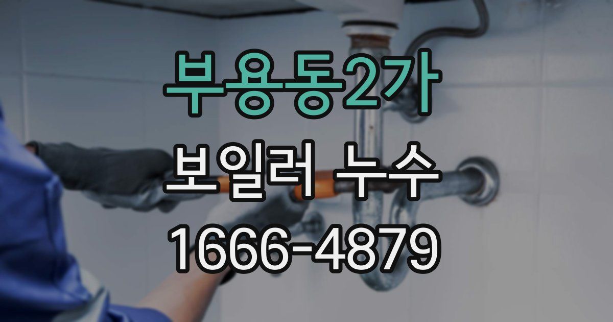 부용동2가 보일러 누수