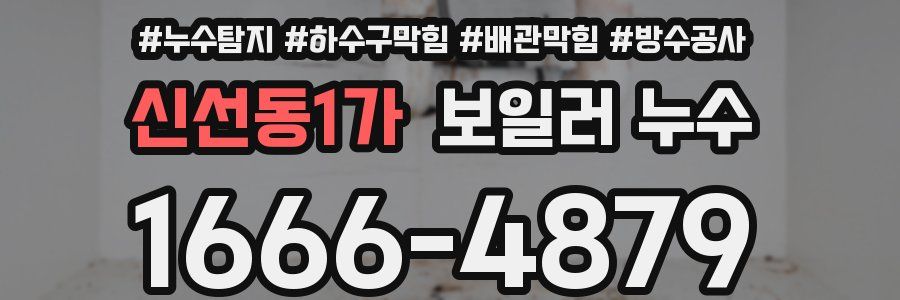 신선동1가 보일러 누수