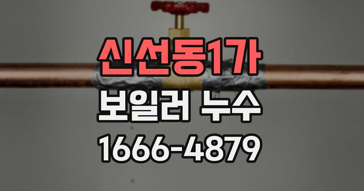 신선동1가 보일러 누수