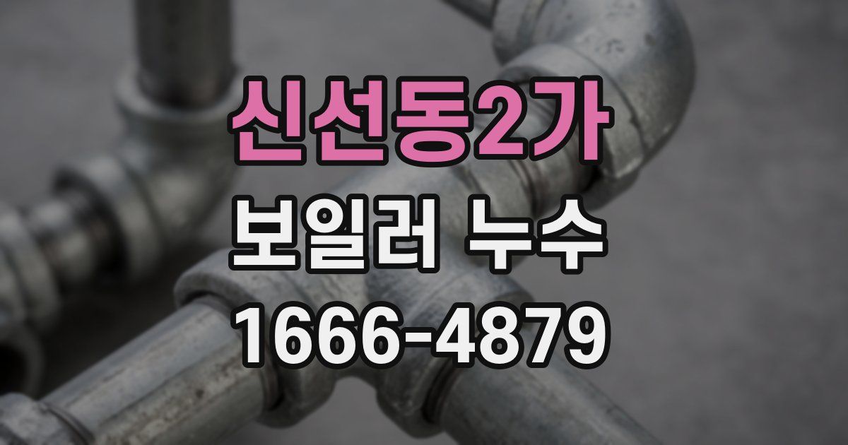 신선동2가 보일러 누수