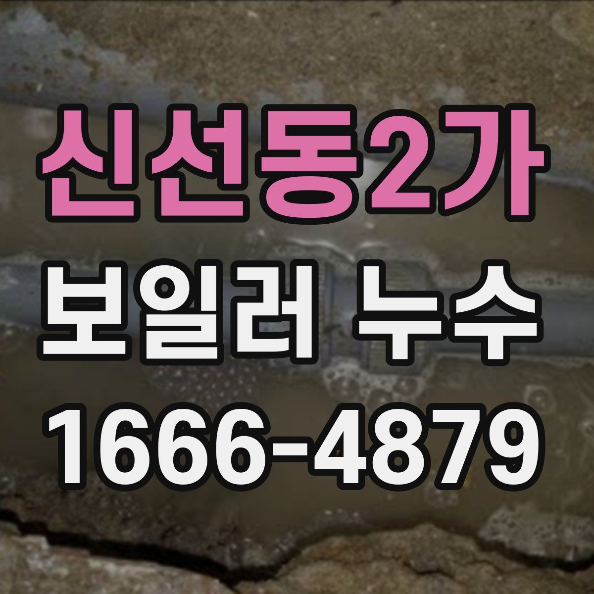 신선동2가 보일러 누수