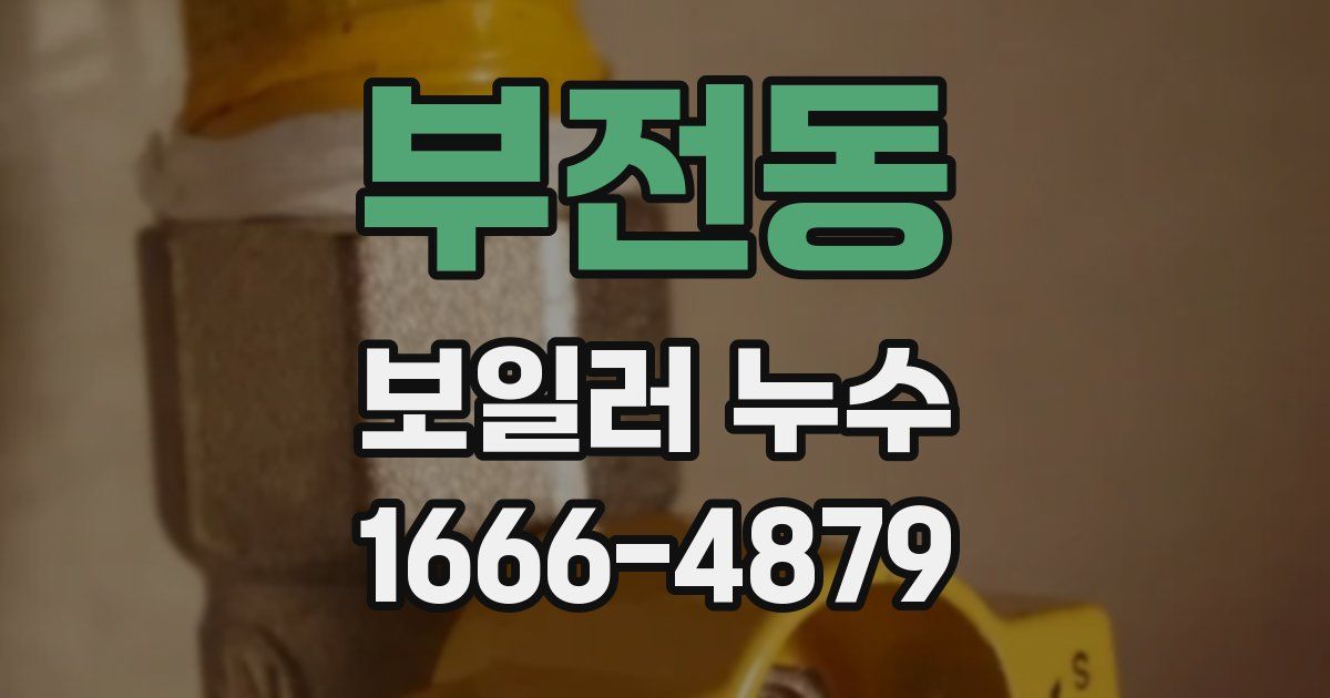 부전동 보일러 누수