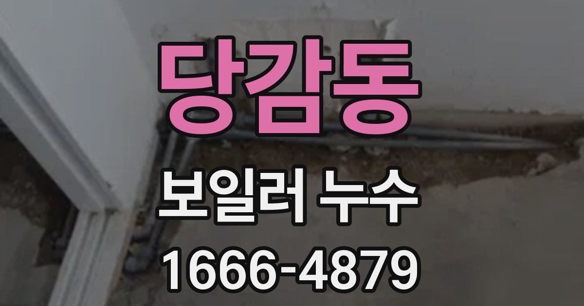 당감동 보일러 누수