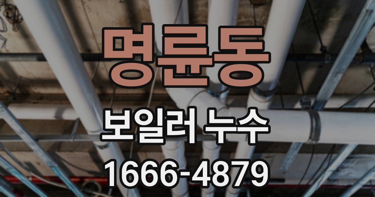 명륜동 보일러 누수