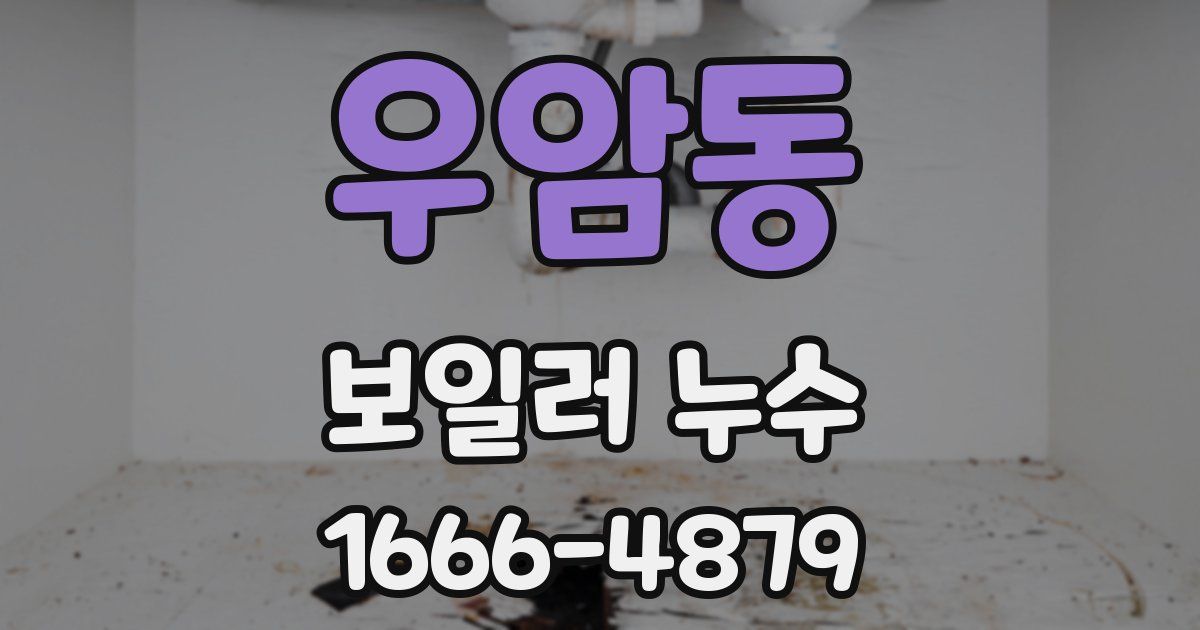 우암동 보일러 누수