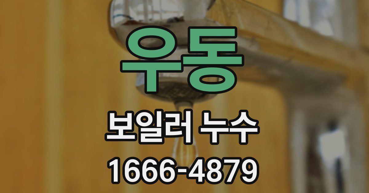 우동 보일러 누수