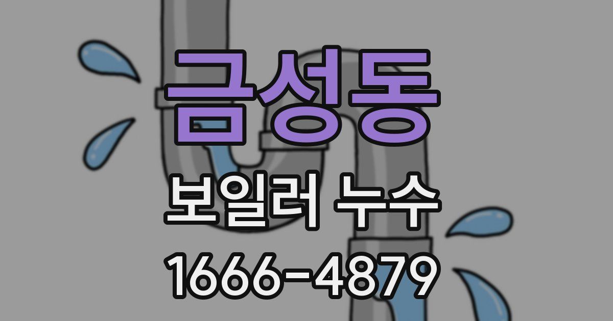 금성동 보일러 누수