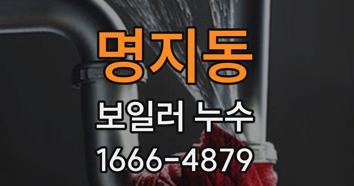 명지동 보일러 누수