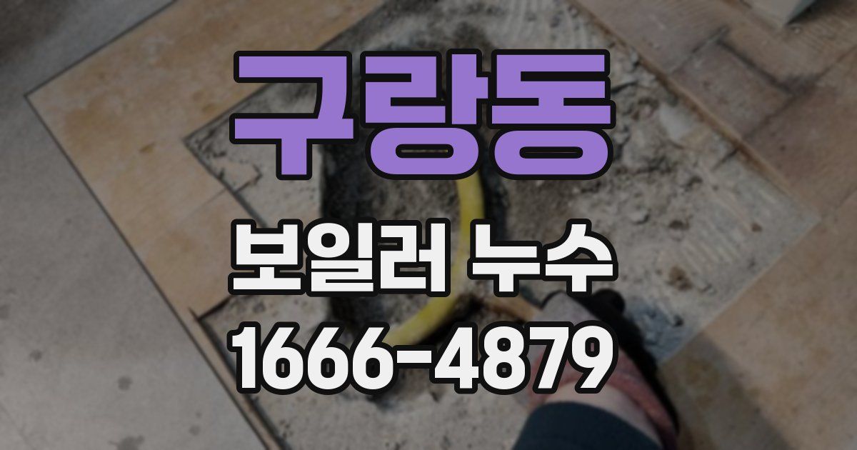 구랑동 보일러 누수