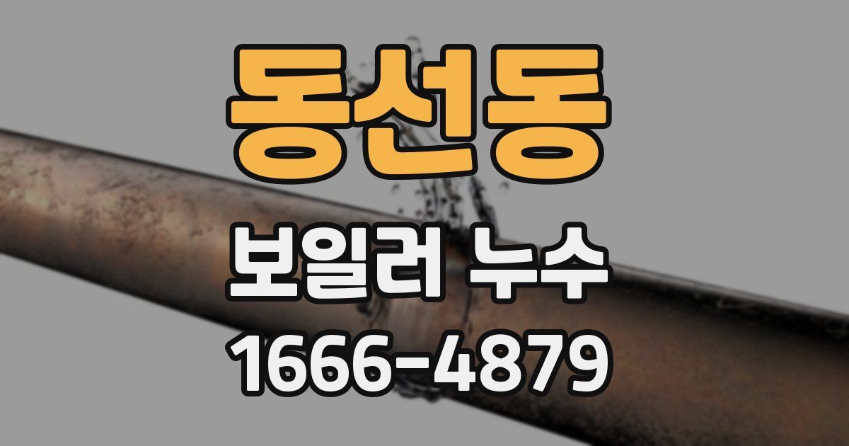 동선동 보일러 누수