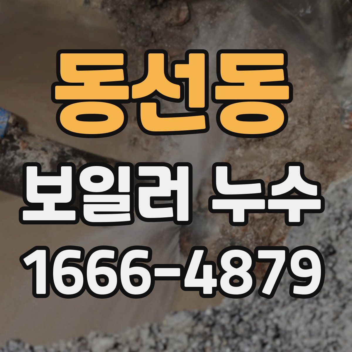 동선동 보일러 누수