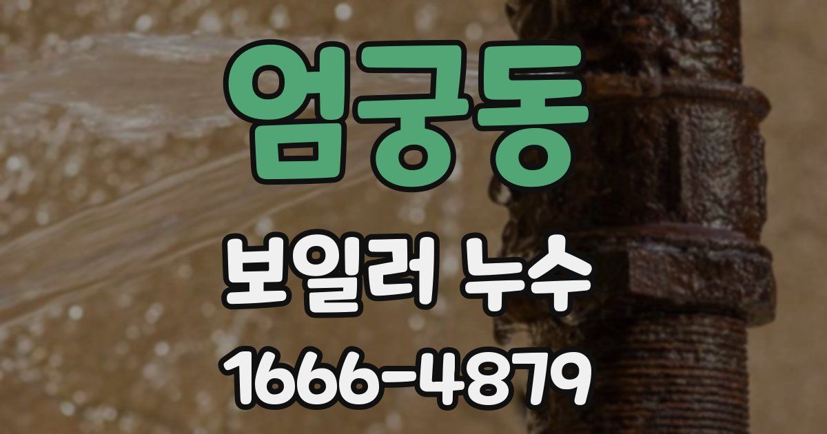 엄궁동 보일러 누수