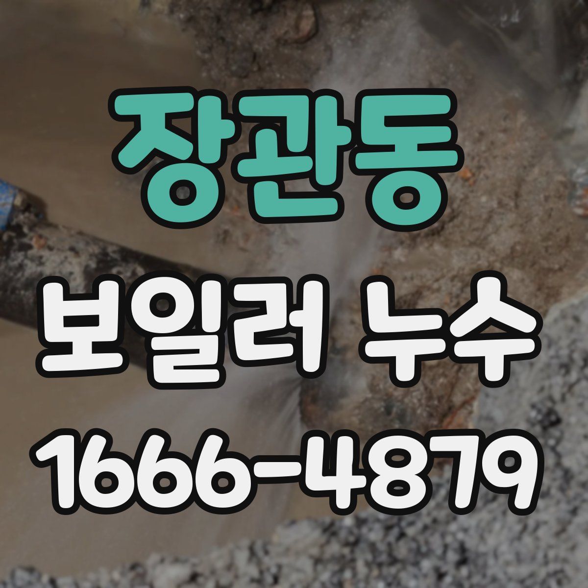 장관동 보일러 누수