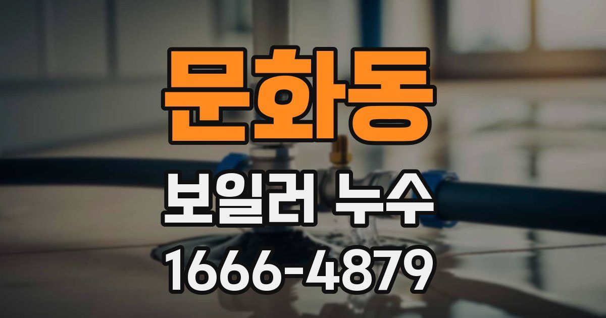 문화동 보일러 누수