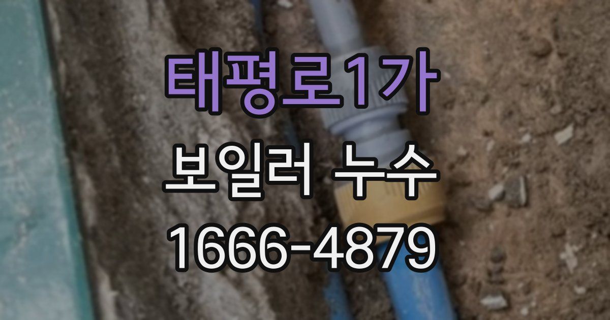 태평로1가 보일러 누수