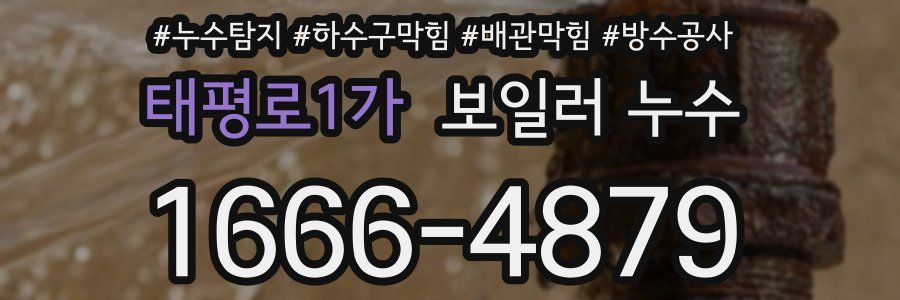 태평로1가 보일러 누수