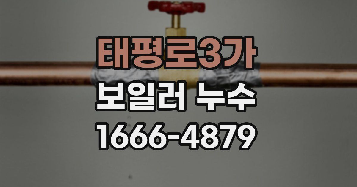 태평로3가 보일러 누수