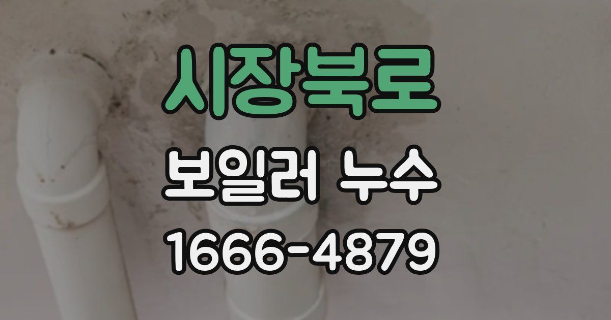 시장북로 보일러 누수