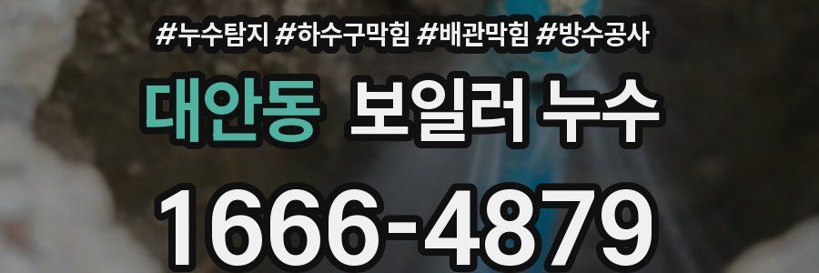 대안동 보일러 누수