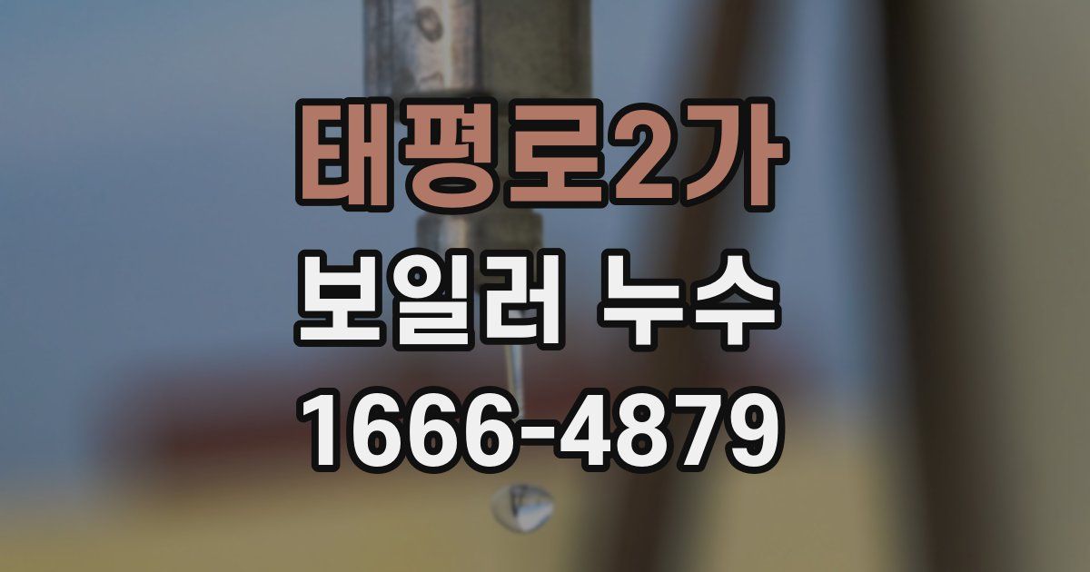 태평로2가 보일러 누수