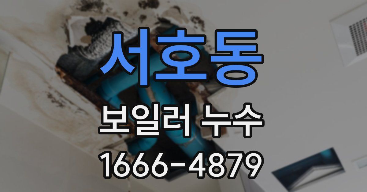서호동 보일러 누수
