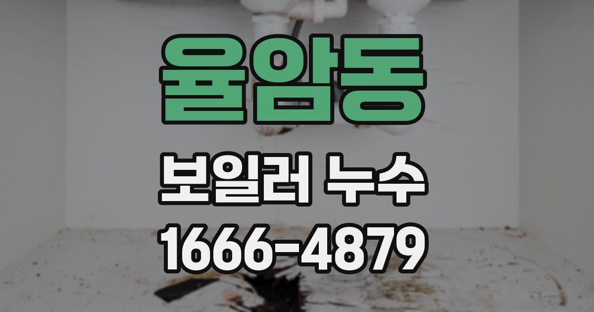 율암동 보일러 누수
