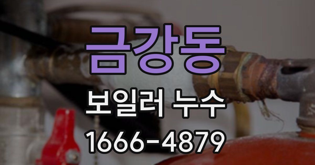 금강동 보일러 누수